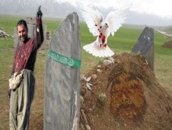 Yüksekova`da İslami Faaliyetler ve Mustazaf-Der Gerçeği - 1