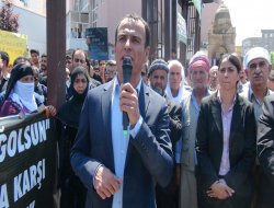 HDP'li vekilden maksadını aşan sözler