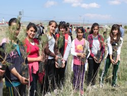 Engelli öğrenciler ağaç dikti