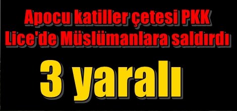 Apocu katiller çetesi PKK Lice'de Müslümanlara saldırdı