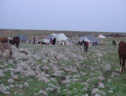 Göçerlerin meşakatli yolu devam ediyor