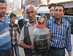 Sülük hem tedavi amaçlı hem de geçim kaynağı oluyor
