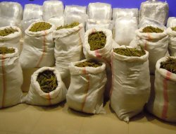 Adana'da 490 kilo uyuşturucu ele geçirildi