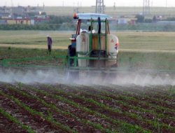Kızıltepe ovasında ilk ilaçlama başladı