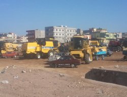 Viranşehir'de hasat zamanı geldi