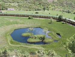 Doğa harikası: "Yüzen Adalar"