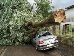 Fransa'da fırtına ve yağışlar can aldı