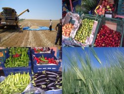 Tahıl ürünlerinde azalma olacak