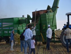 Kuraklık çiftçiyi vurdu