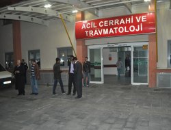 Yıldırım çarpan iki kardeş hayatını kaybetti