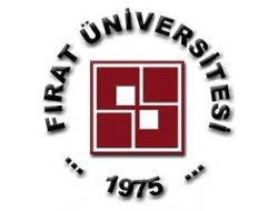 Bel-Bacak Ağrılarına İlaçsız Çözüm