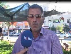 Sebze fideciliği çok zahmetli bir iş