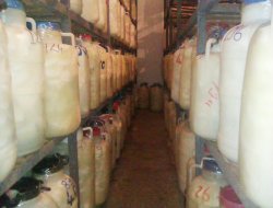 Çınar'da soğuk hava depolarına bırakılan peynirler kışı bekliyor