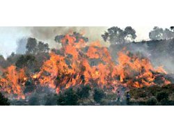 İsrail'den Bir Küstahlık Daha!