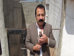 45 yıldır beslediği keklikler sayesinde hastalığından kurtuldu