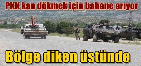 Bölge diken üstünde