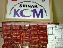 Şırnak'ta kaçakçılık baskınlarında 9 gözaltı