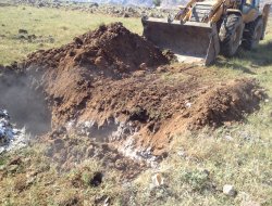 Kuduz tespit edilen Ulaş köyü 6 ay karantinaya alındı