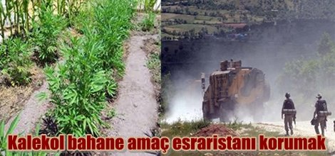 Kalekol bahane amaç esraristanı korumak