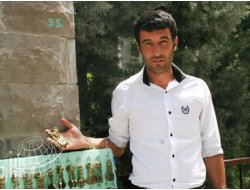 81 İlin Plakası Ekmek Teknesi Oldu