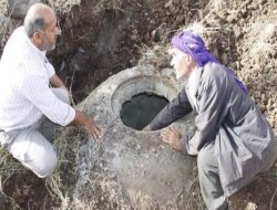 Siverek'te dana rögara düştü