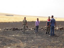 Siverek'te bin dönüm tarım arazi yandı