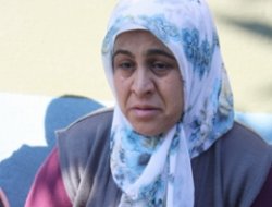 Bdp Te’deyan Dide Malbatên Dilşewat