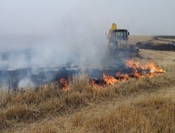 Yüksek gerilim hattı 350 dönümü kül etti