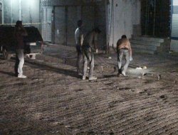 HÜDA PAR Cizre İlçe Teşkilatından saldırı açıklaması