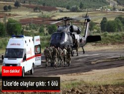 Lice'deki Olaylarda 1 Kişi Öldü