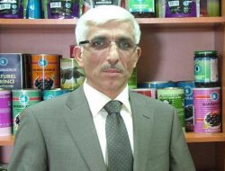 Aşırı yağışlar zeytin üreticisini vurdu