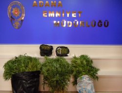 Uyuşturucu operasyonunda 38 gözaltı