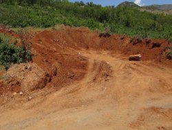 Bingöl'de "Orman katliamı" iddiası