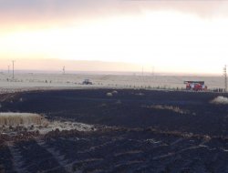 Çınar'daki yangında 25 dönüm ekili alan küle döndü