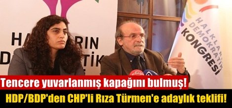 HDP/BDP'den CHP'li Rıza Türmen'e adaylık teklifi!