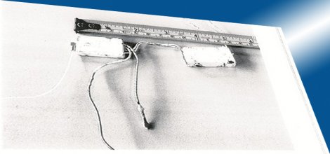 Başbakanı dinleyen böcekler ortaya çıktı