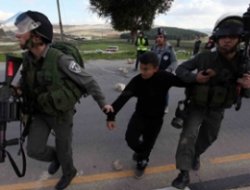 Di 12 Rojan de 540 Kes Desteser Kirin