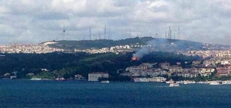 Fethipaşa Korusu'nda yangın