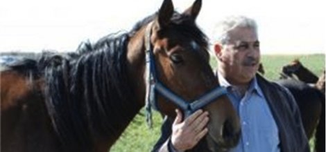 Musul Valisi atlarını istiyor