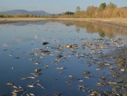 "Kum ocakları çevre katliamı yapıyor"
