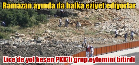 Lice'de yol kesen grup eylemini bitirdi