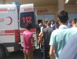 Viranşehir'de arazi kavgası: 1 ölü, 4 yaralı