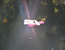 Aynzılha Gölü'nde çöpler yüzüyor