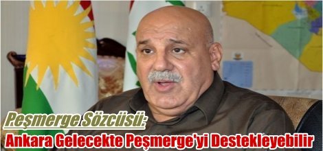 Peşmerge Sözcüsü: Ankara Gelecekte Peşmerge'yi Destekleyebilir