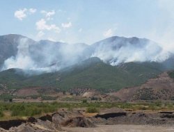 Bingöl'de hafta sonu başlayan orman yangını devam ediyor