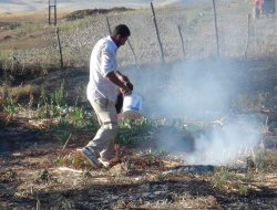 Muş'taki ateşin nedeni araştırılacak