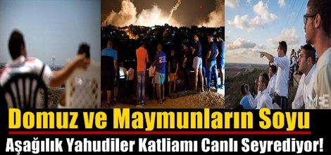 Domuz ve Maymunların Soyu Aşağılık Yahudiler Katliamı Canlı Seyrediyor!