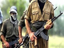 PKK Bingöl'de bir kişiyi öldürdü