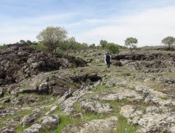 Çınar'daki tarihi yerlerşim yeri görenleri şaşırtıyor