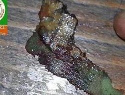 Katil İsrail askerlerinin derisinde çip var!